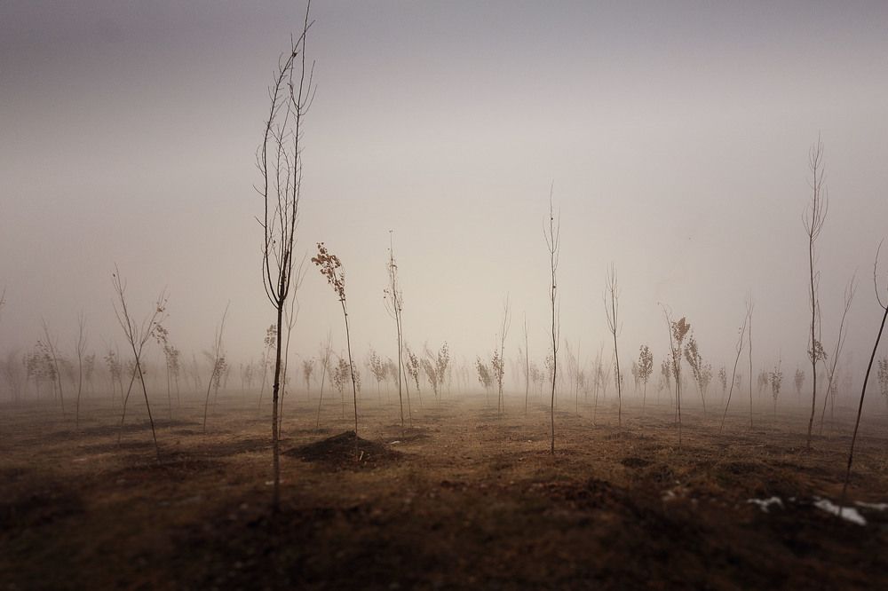 Photograph by Илья Кондрахин