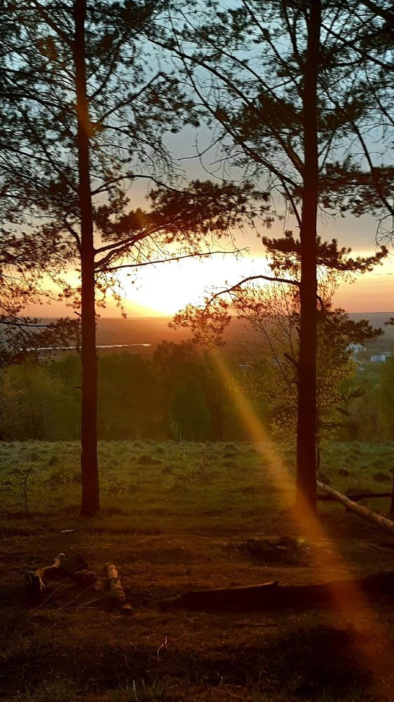 Photograph by Михаил Нуждов