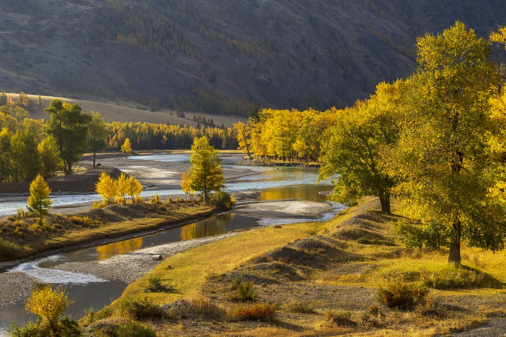 Photograph by Олег Матроницкий