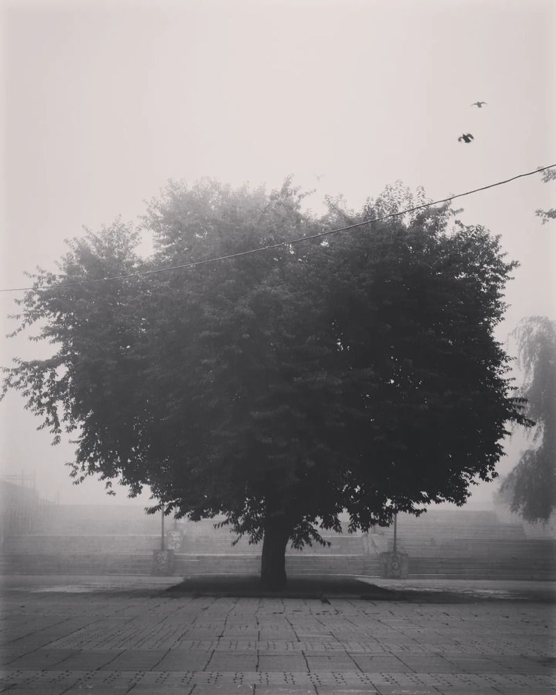 Photograph by Viktor Ivanov