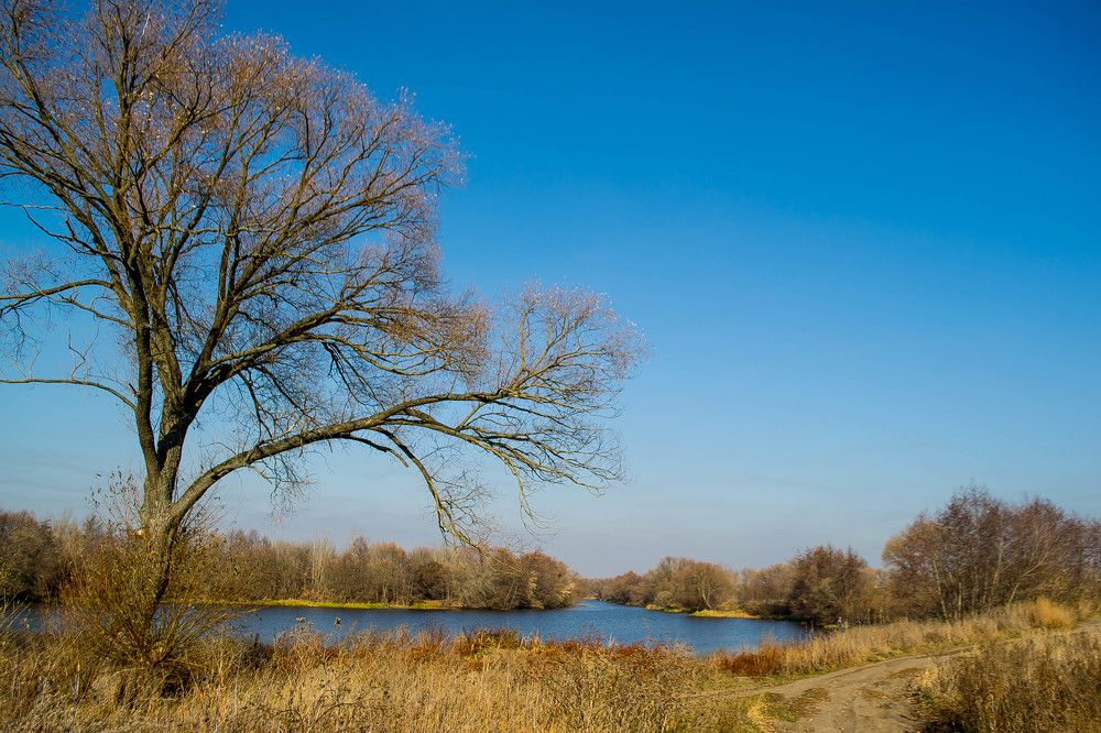 Photograph by Кипкин Александр