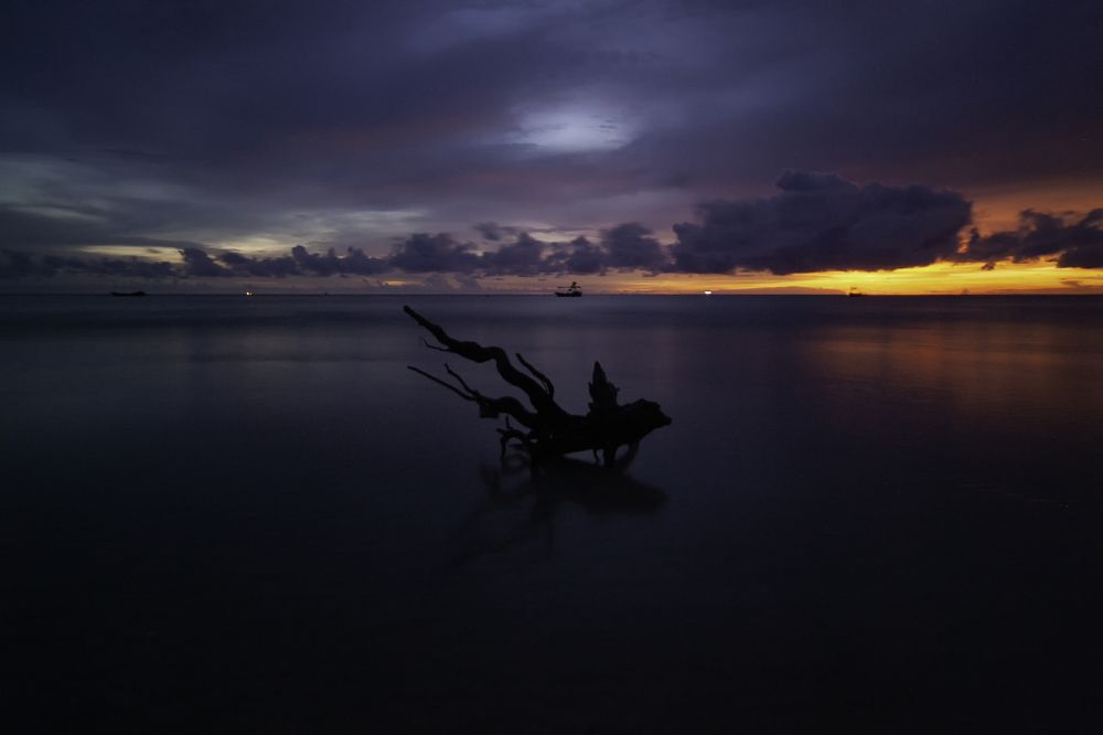 Photograph by  绿茶