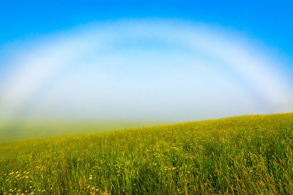 Там за туманами...