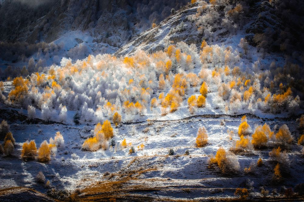 Золото в серебре