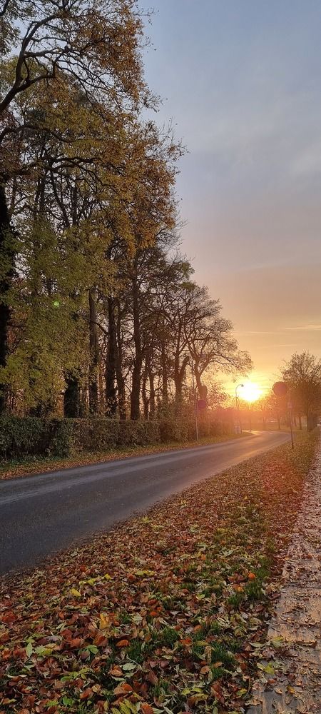 Photograph by jane nielsen