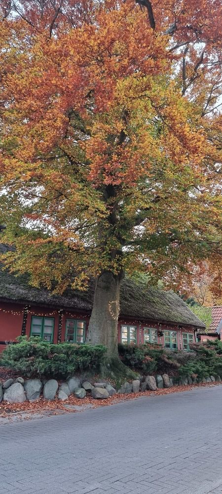 Photograph by jane nielsen