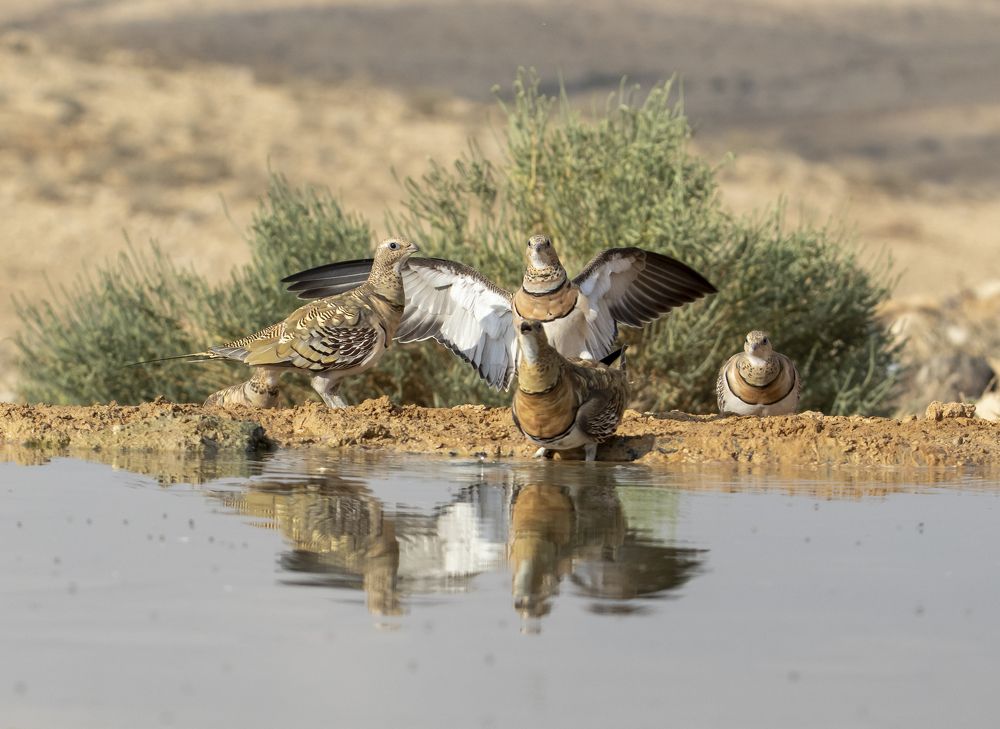 Photograph by Валентина Лопаткина