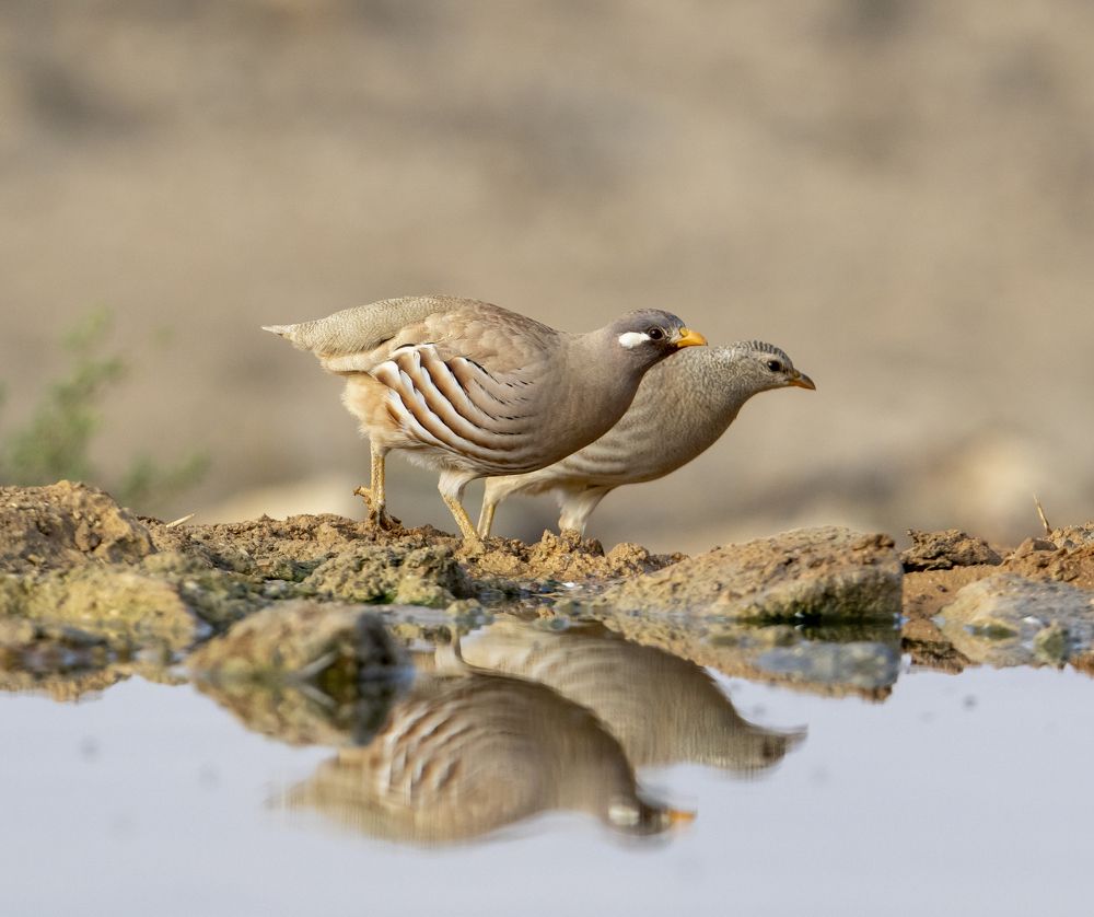 Photograph by Валентина Лопаткина