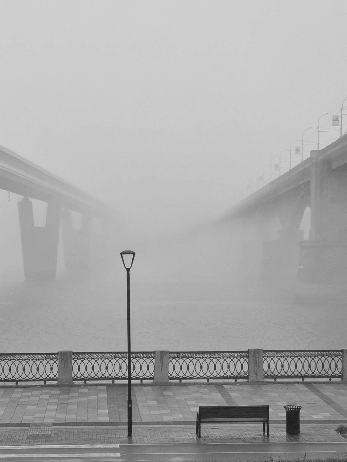 Photo #6685936