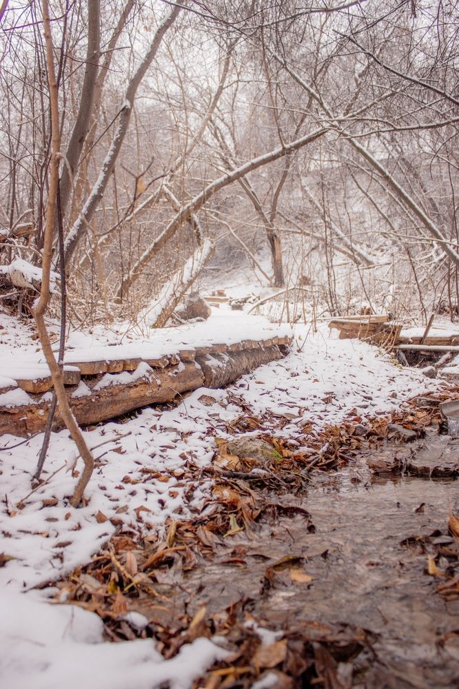 Photograph by Фистина Мария