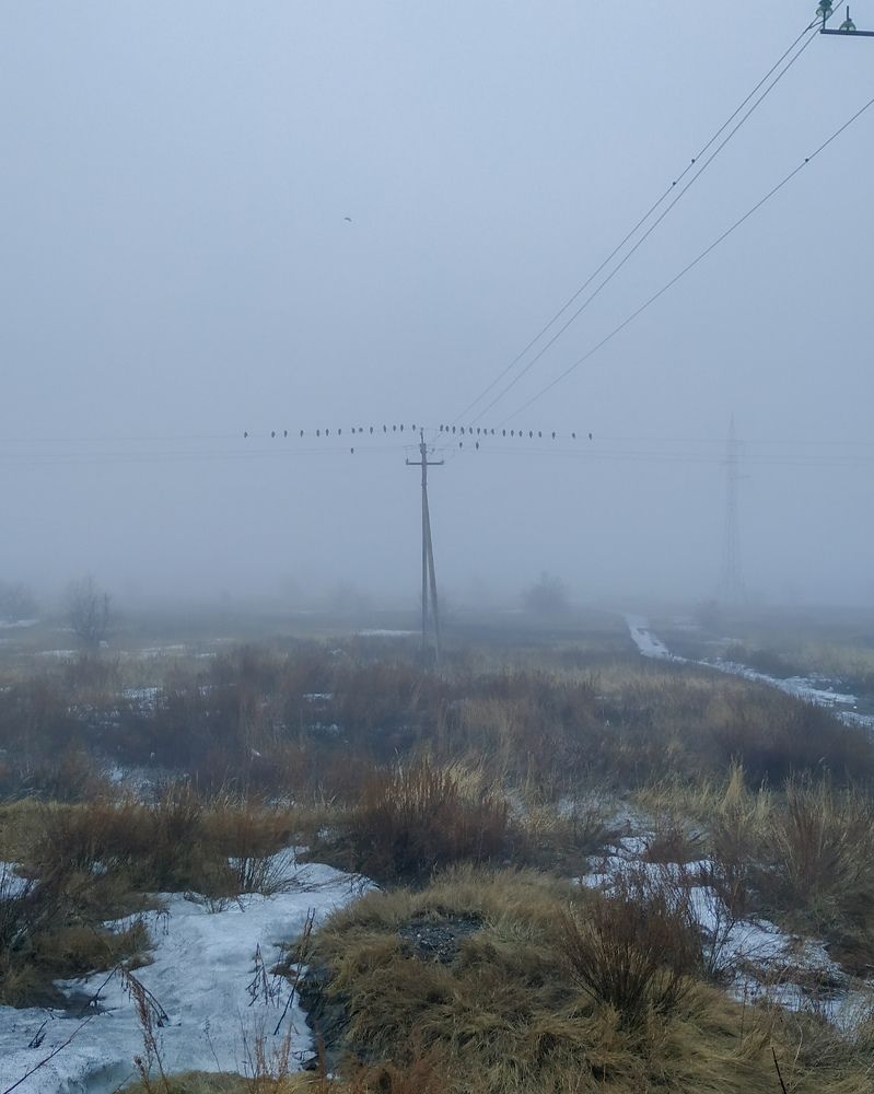 Фотография автора Руслан Токмагамбетов