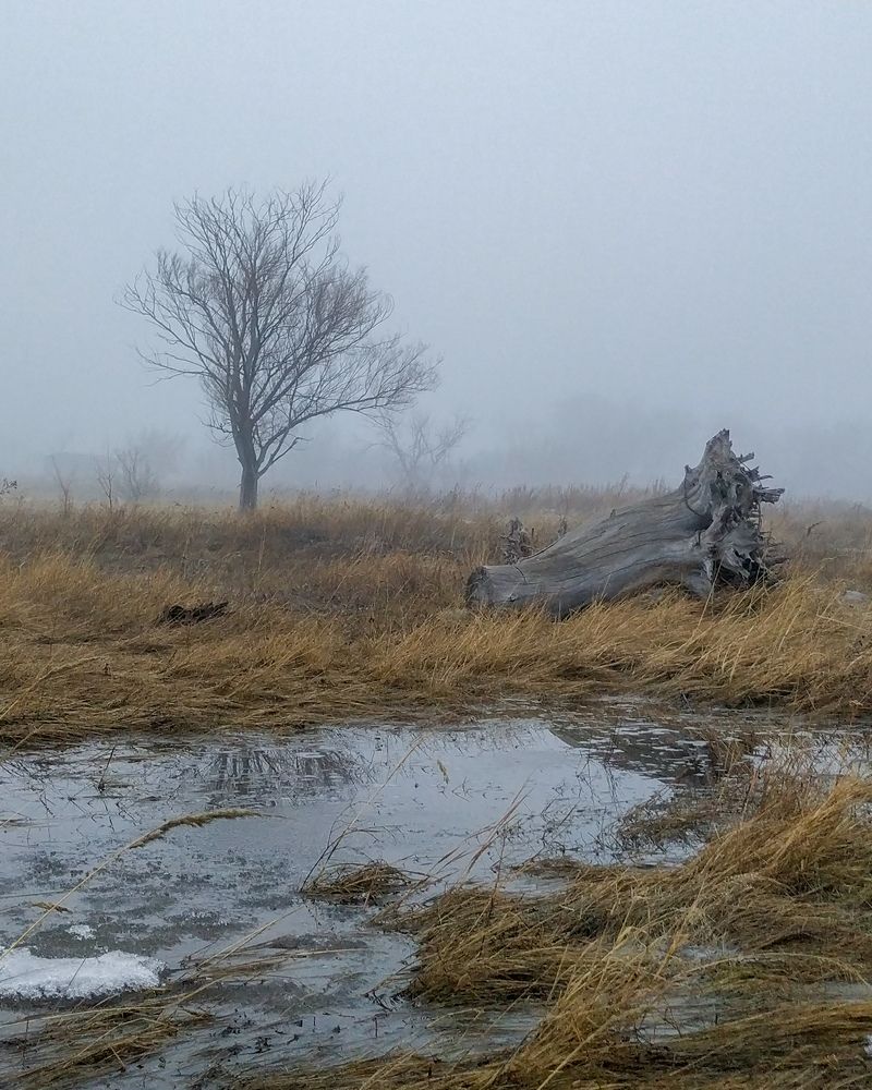 Фотография автора Руслан Токмагамбетов