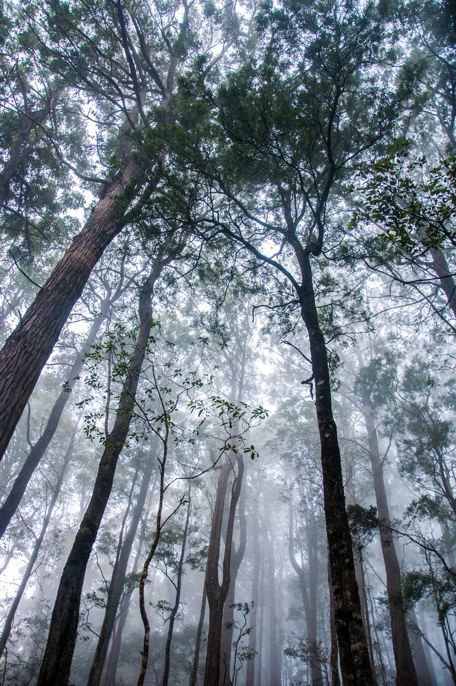 Photograph by Chamara Sulakkhana Polwatta Siriyalage