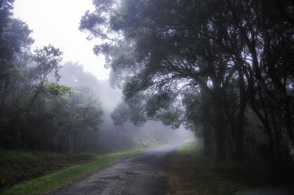 Photograph by Chamara Sulakkhana Polwatta Siriyalage