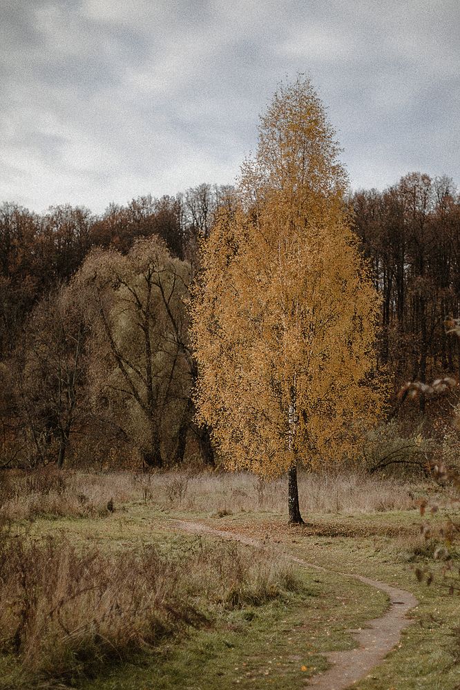 Photograph by Наталья Чернавина