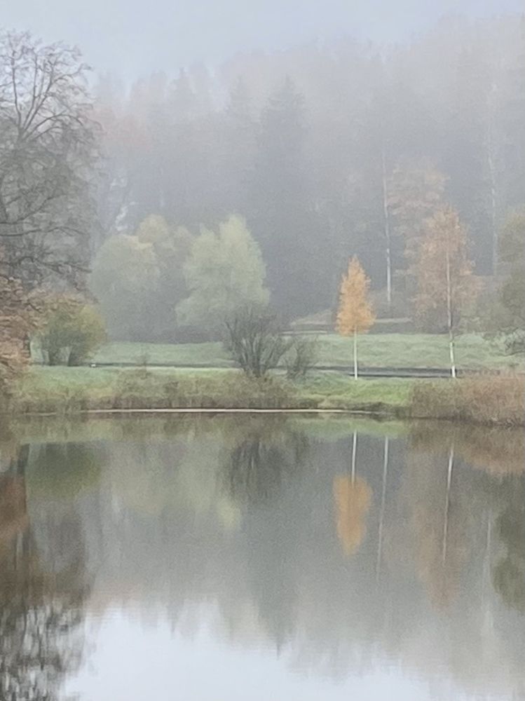 Photograph by Ива