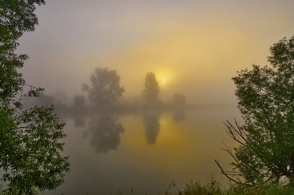 Фотография автора Игорь Игоревич