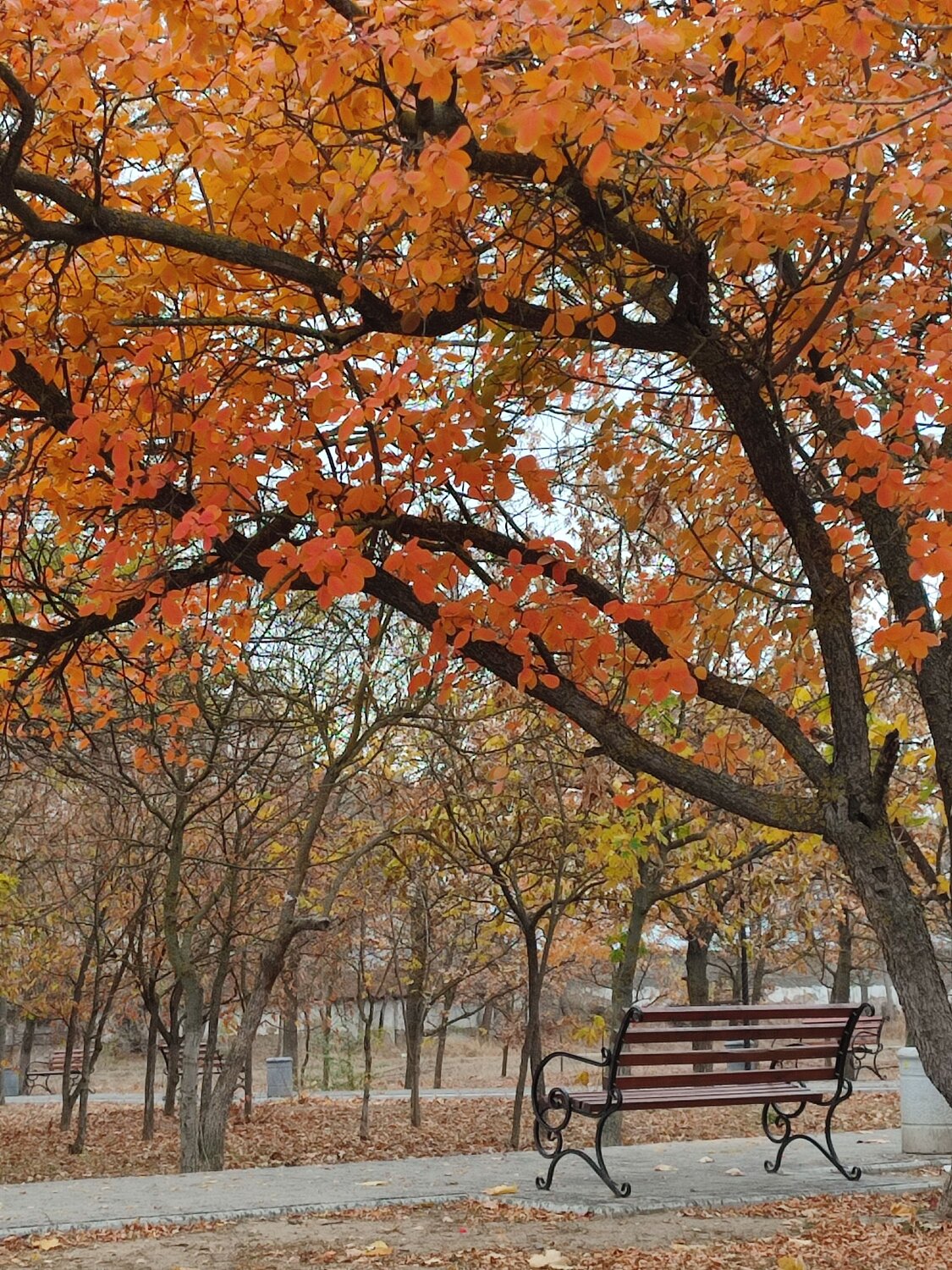 Photo #6686046