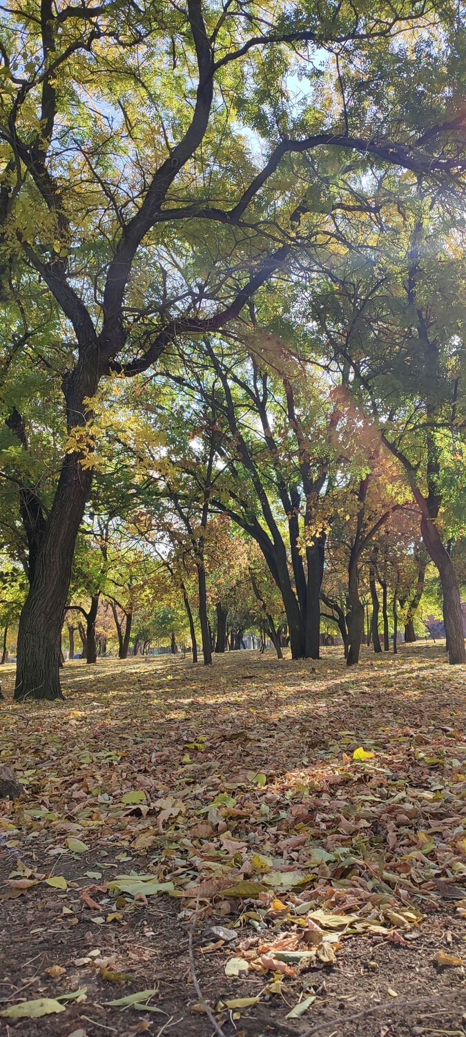 Photo #6686090
