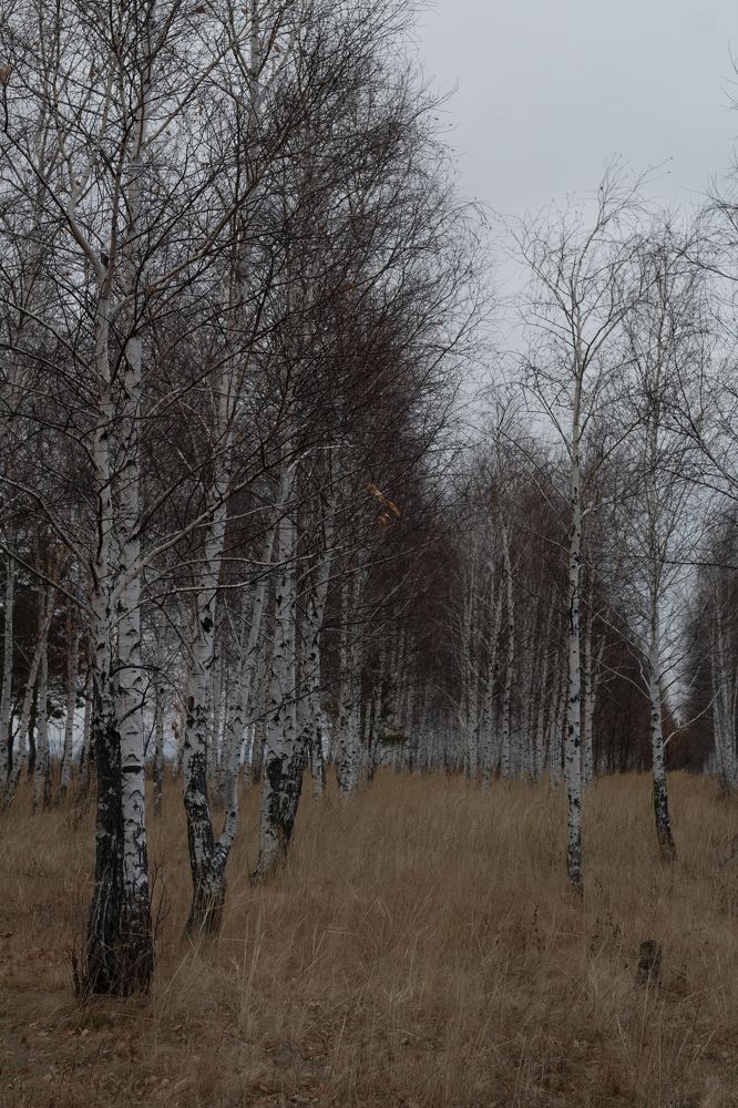 Photograph by Екатерина Андросова