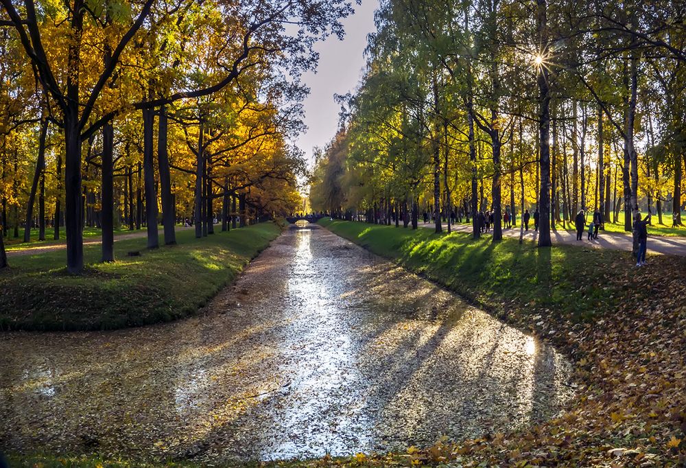 Photograph by Елена Белькова