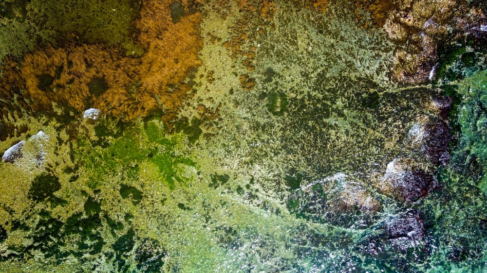 Морские краски