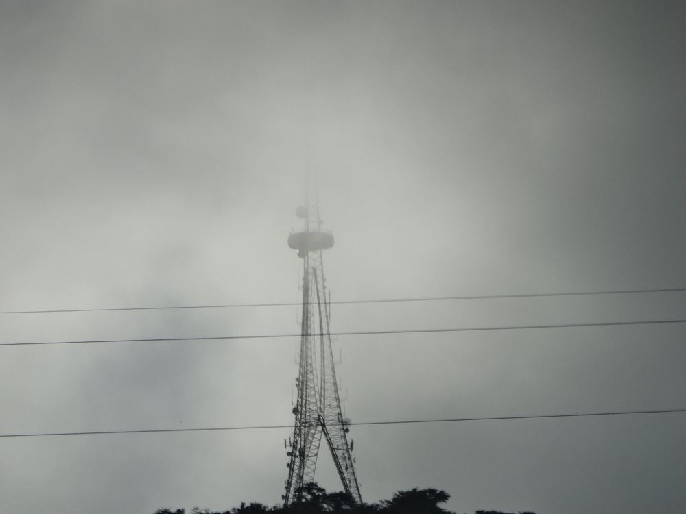 Photograph by José Salgado