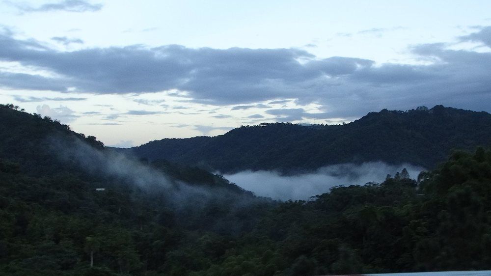 Photograph by José Salgado