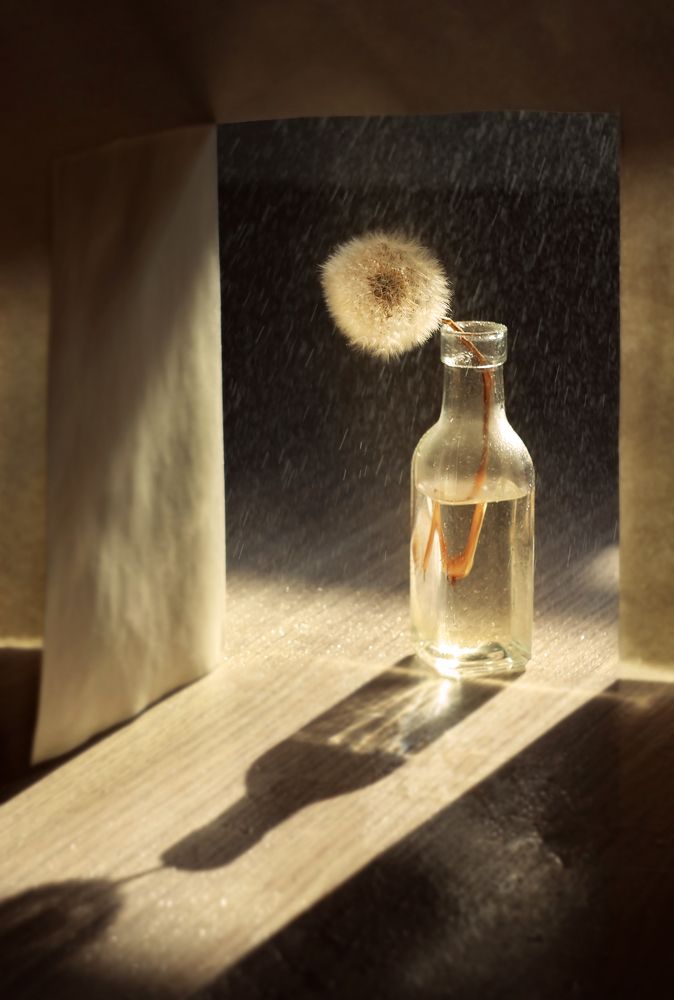 Тушите свет