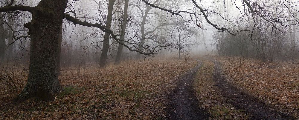 Photograph by Евгений Кулик