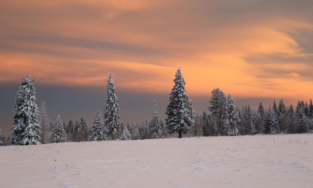 Фотография автора Юрий Кетель
