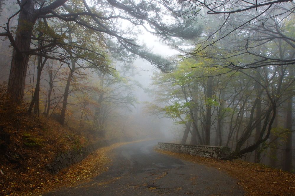 Дорога на Ай-Петри