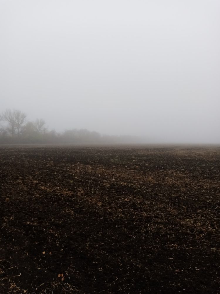 Photograph by Елена