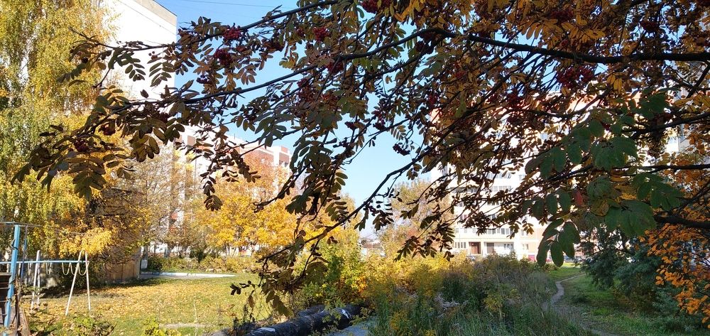 Краски осени