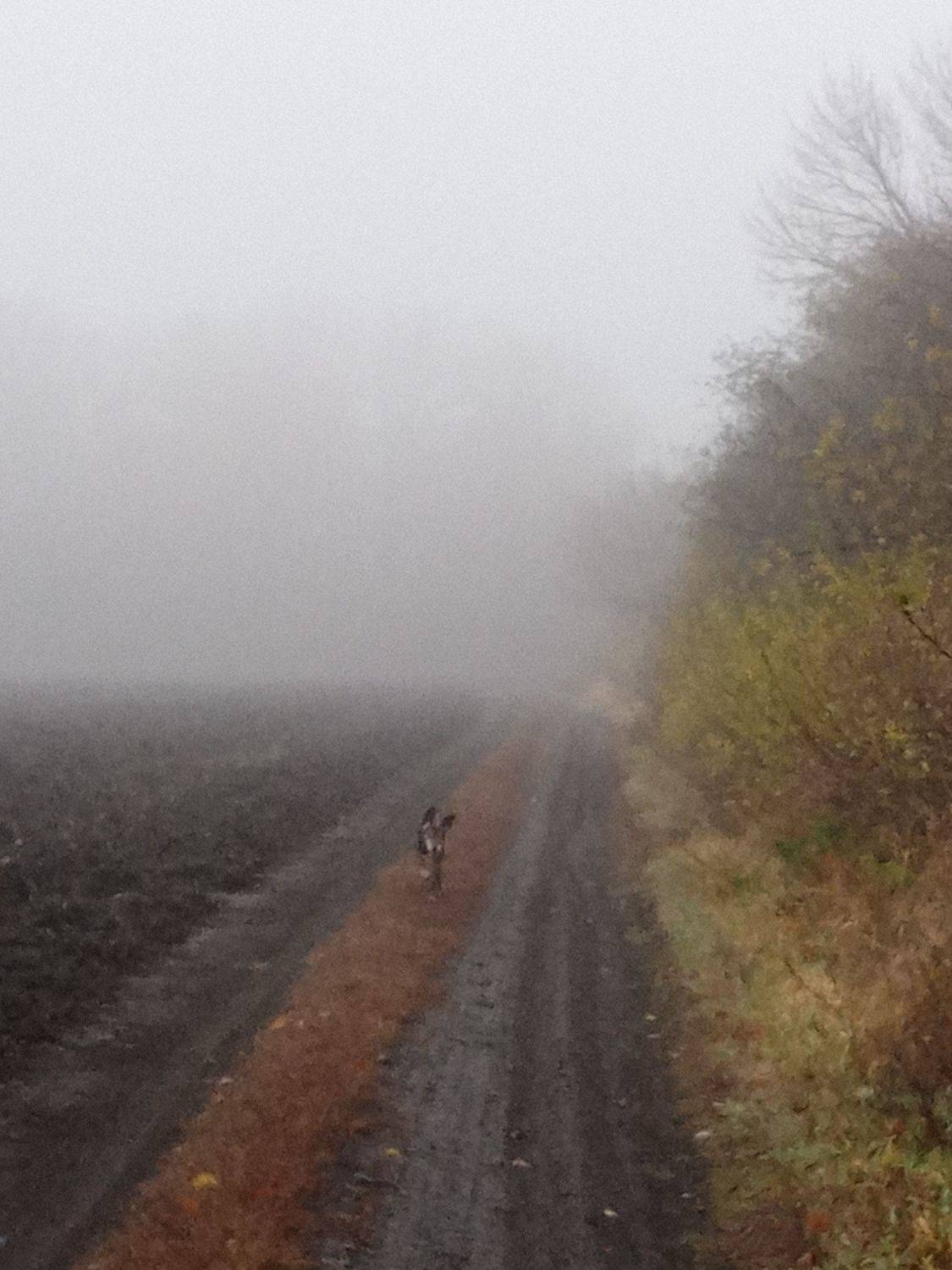 Photo #6686268