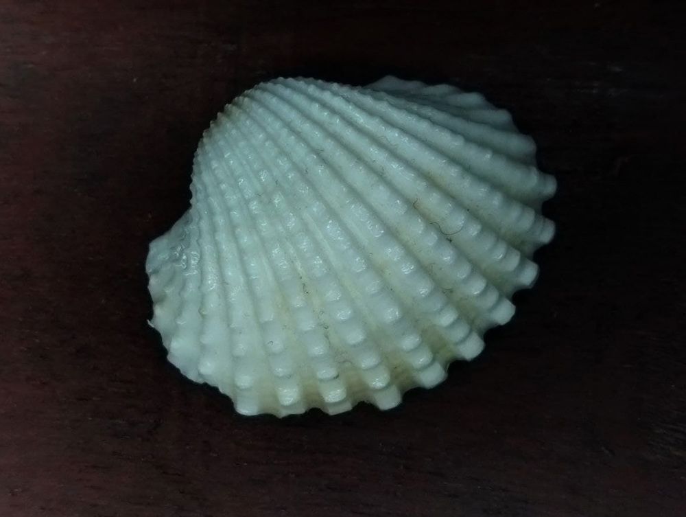 Фотография автора Веста Ягужинская