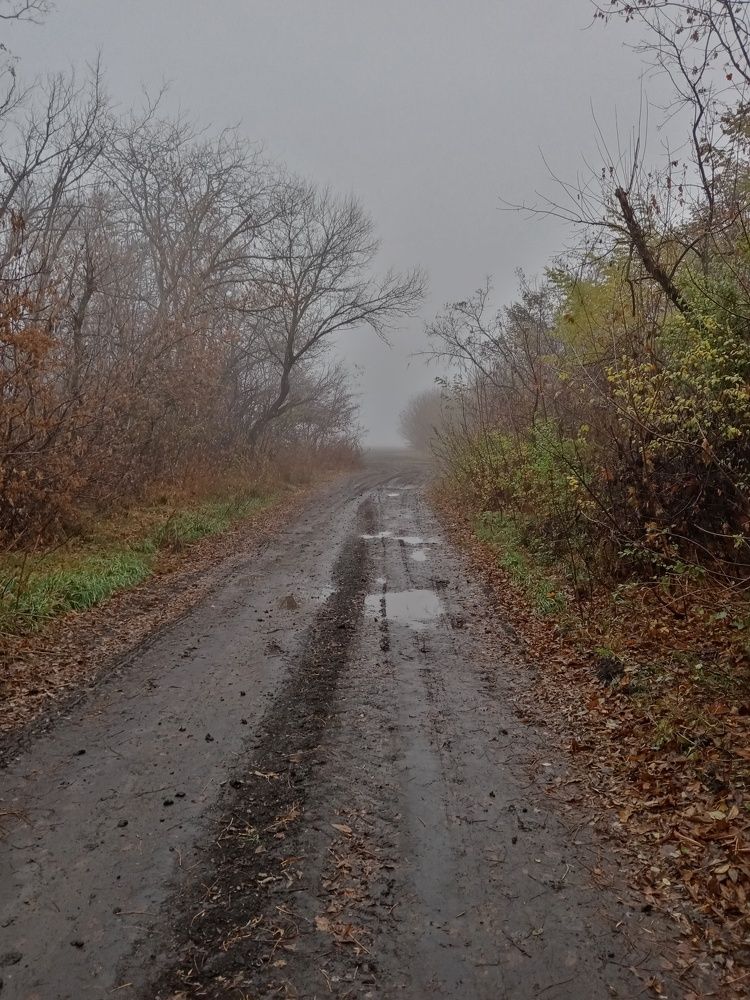 Photo #6686295