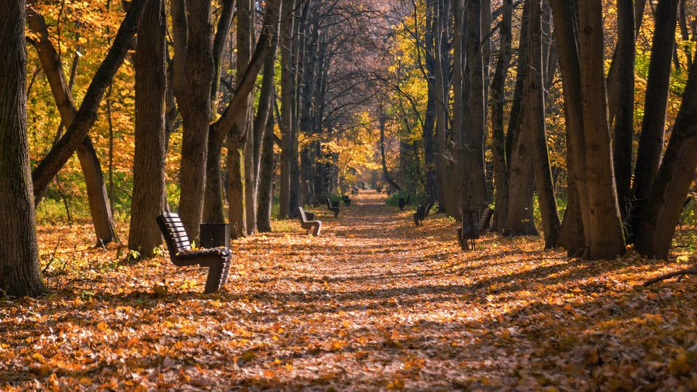 Photograph by Дмитрий Петренко