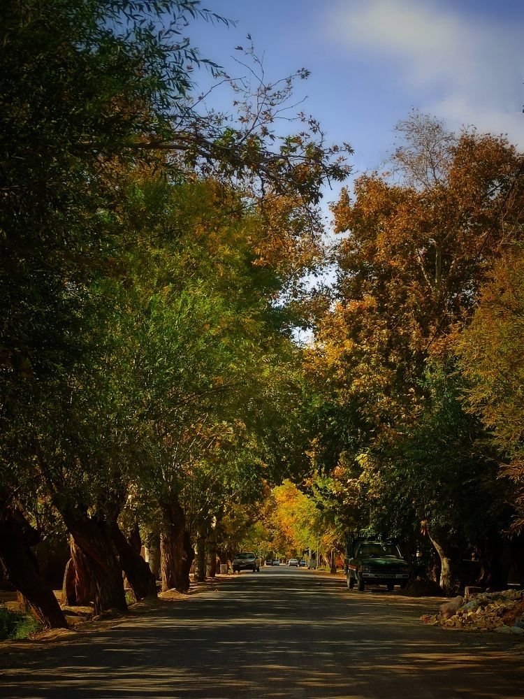 Photograph by Hannaneh Akhoondi