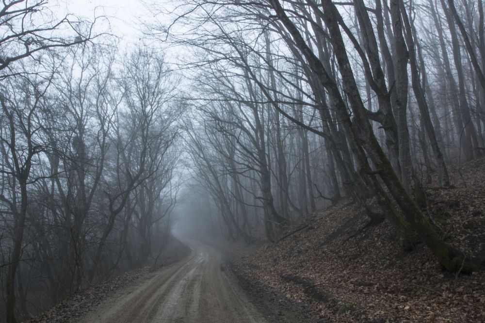 Таинственная дорога