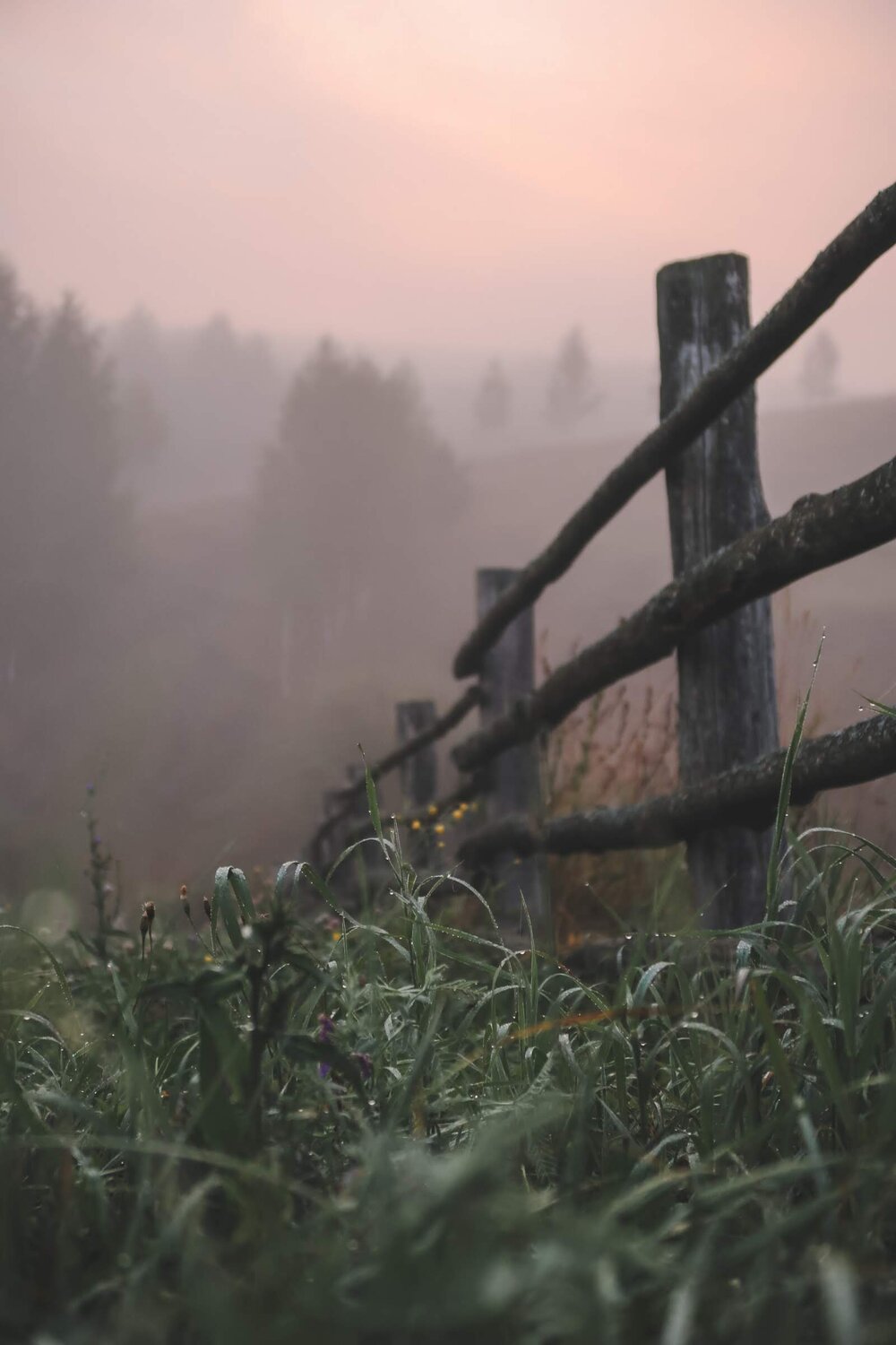 Photo #6686372