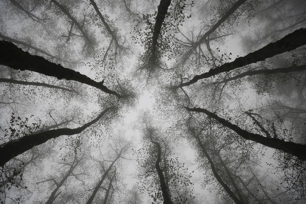 Фотография автора Mahshad Razavi