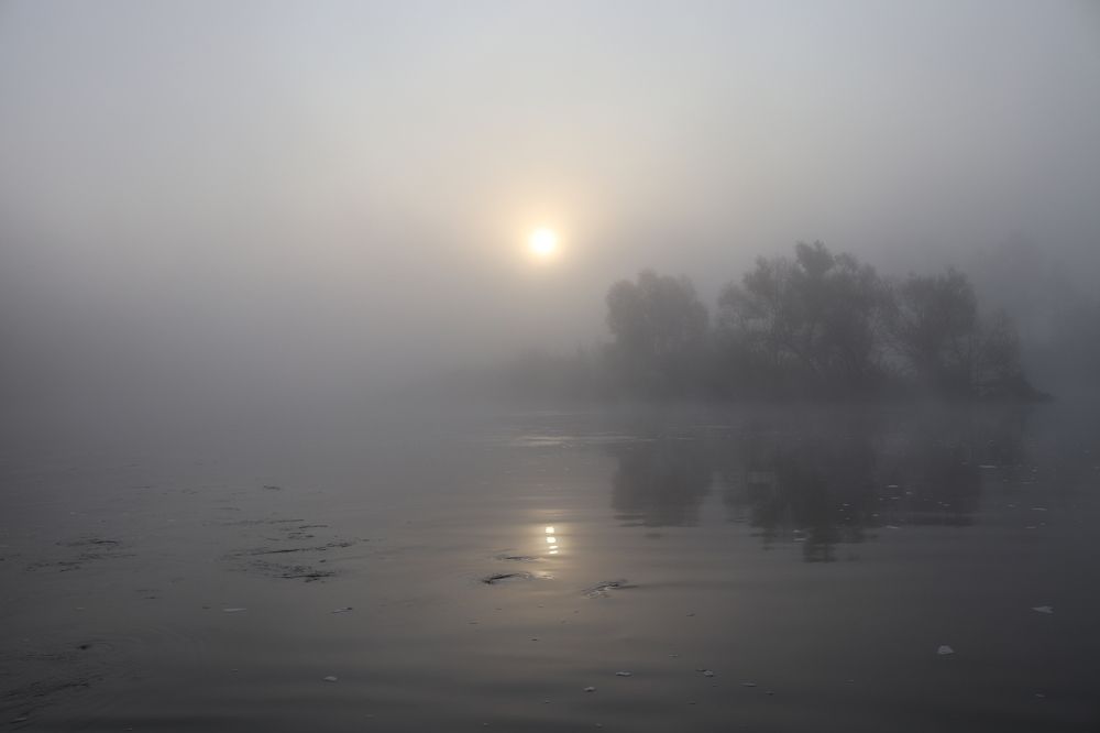 Фотография автора Веста Ягужинская