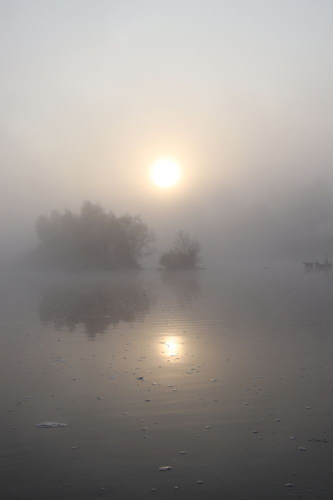 Фотография автора Веста Ягужинская