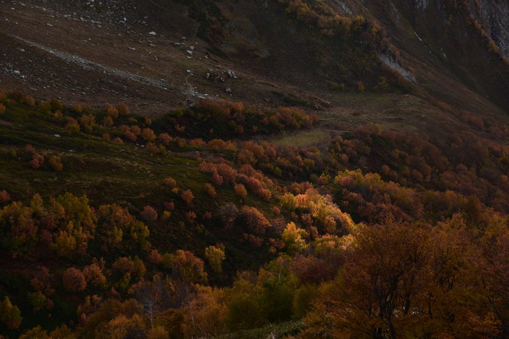 Photograph by Егор Колягин