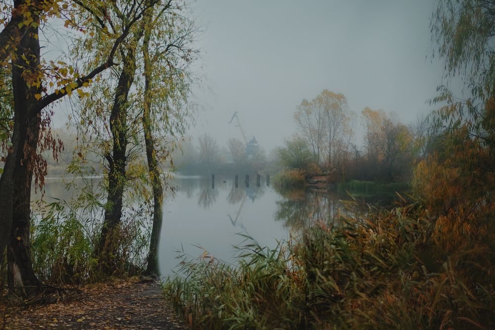 Фотография автора Светлана Лукьянова