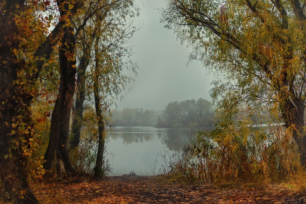 Фотография автора Светлана Лукьянова