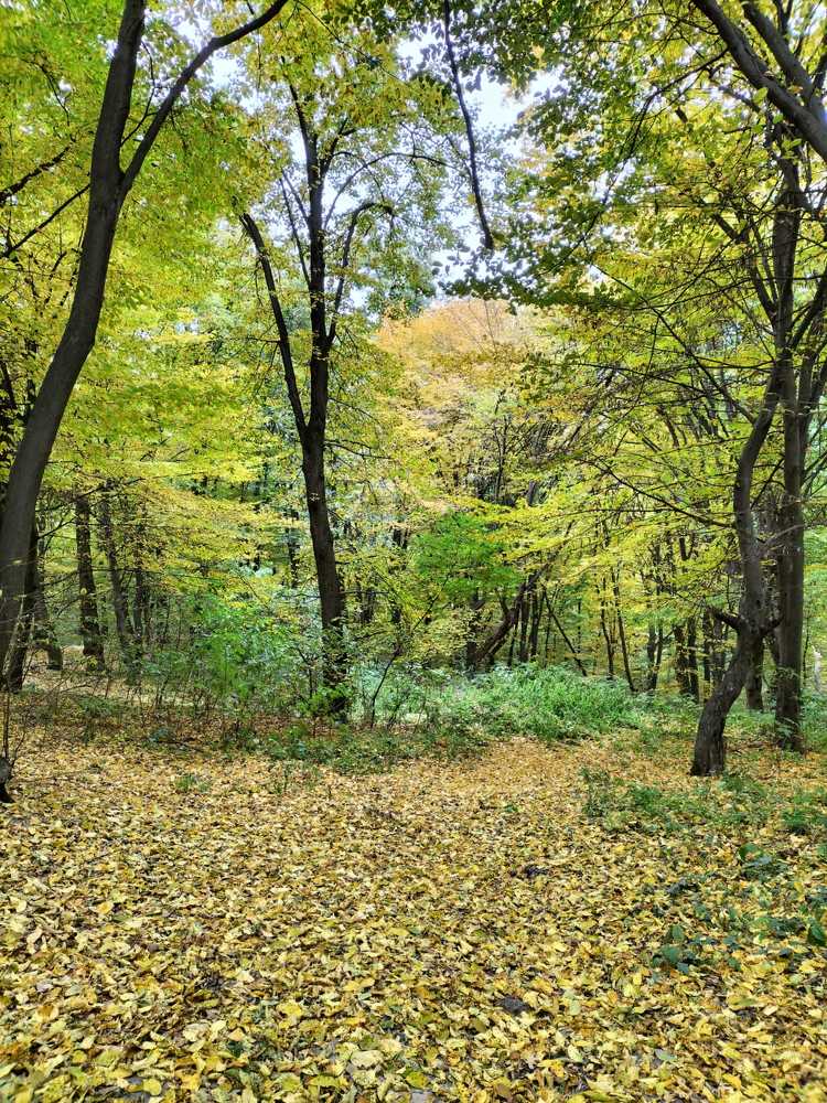 Photograph by Лариса Поляк
