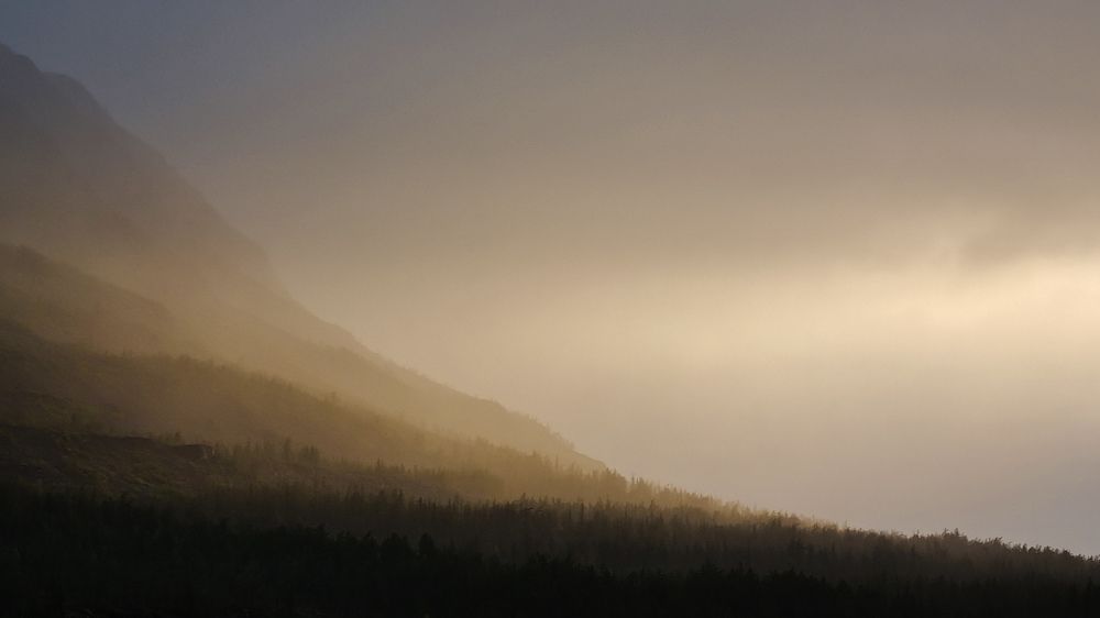 Photograph by Анна Васильева