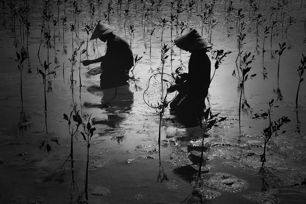 Photograph by HIEU LIEM DO